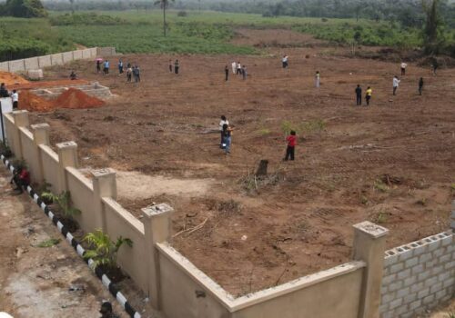 WhatsApp-Image-2024-11-29-at-08.55.21-1